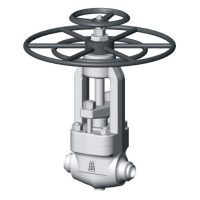 Blow-down and continuous blow-down valves