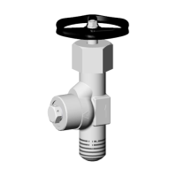 High-pressure safety valve P10.1